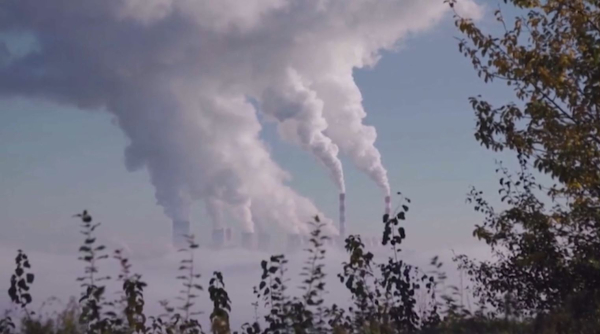 Загрязнение воздуха в ЕС: уровень диоксида азота превышает нормы ВОЗ