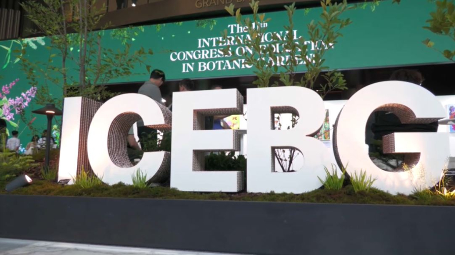 РК и Корея будут совместно восстанавливать леса