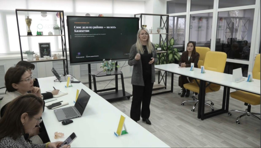 СҚО-да ауыл тұрғындары онлайн табыс табуды үйреніп жүр