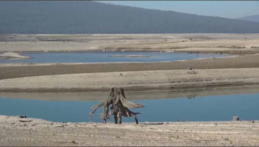 22-24 сәуір күндері Астанада өңірлік экологиялық саммит өтеді