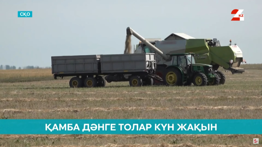 Елдің солтүстігінде егіннің 80% орылды