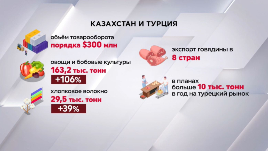 Казахстан и Турция создадут зерновой хаб