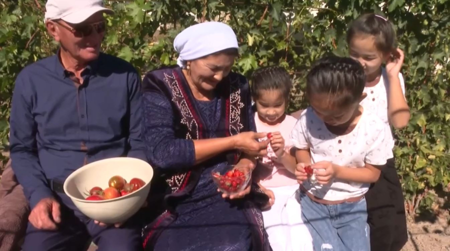 Человек труда: история Шакиры Ыдырысовой