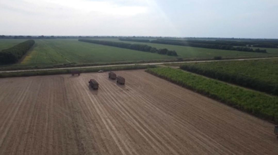 Боливия жиын-терімге кіріспеді