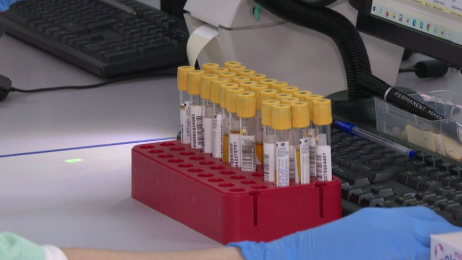 В Казахстане появился ИИ-сервис для расшифровки анализов