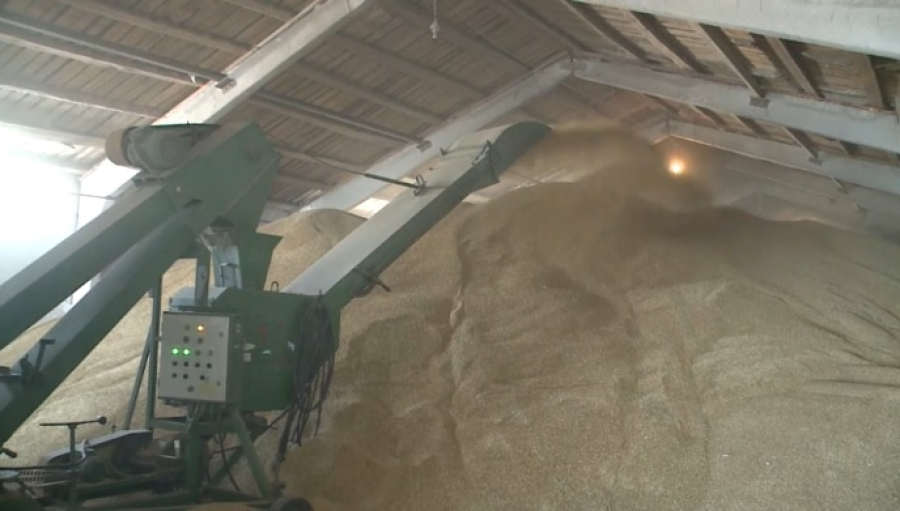 Аграриев Костанайской области поддержат субсидиями