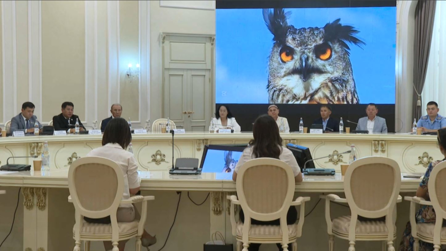 Каспий деңгейі жыл сайын 70 сантиметрге төмендеп барады