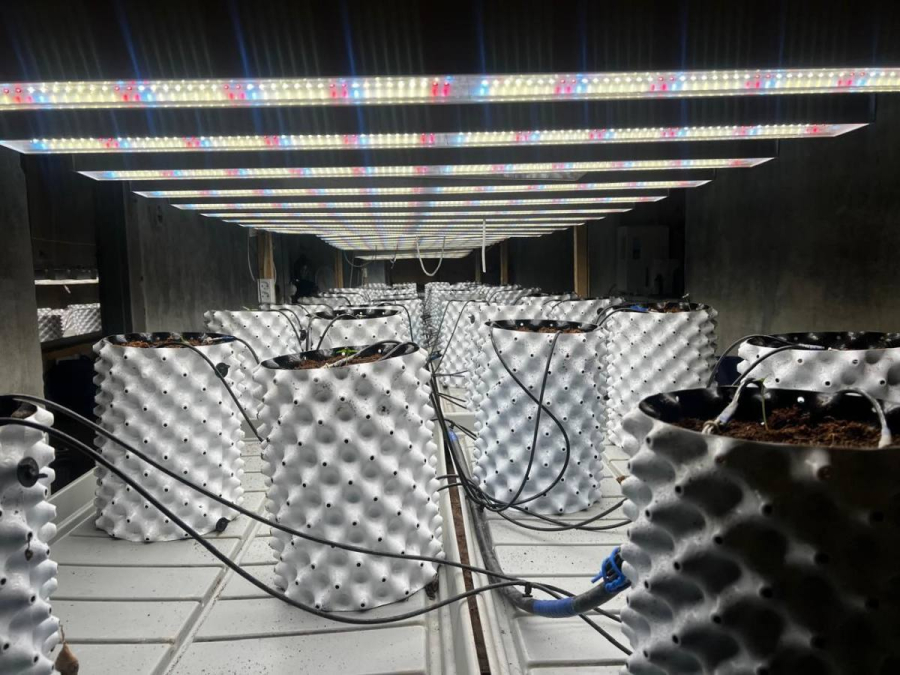 Фитолабораторию ликвидировали в Акмолинской области