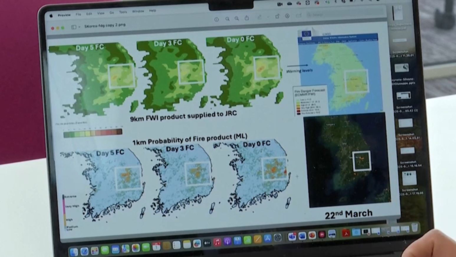Жасанды интеллект орман өртін анықтауға көмектеседі