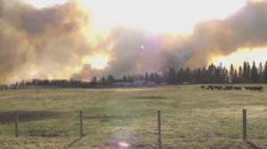 Лесные пожары в Канаде: эвакуировали свыше 30 тыс. человек