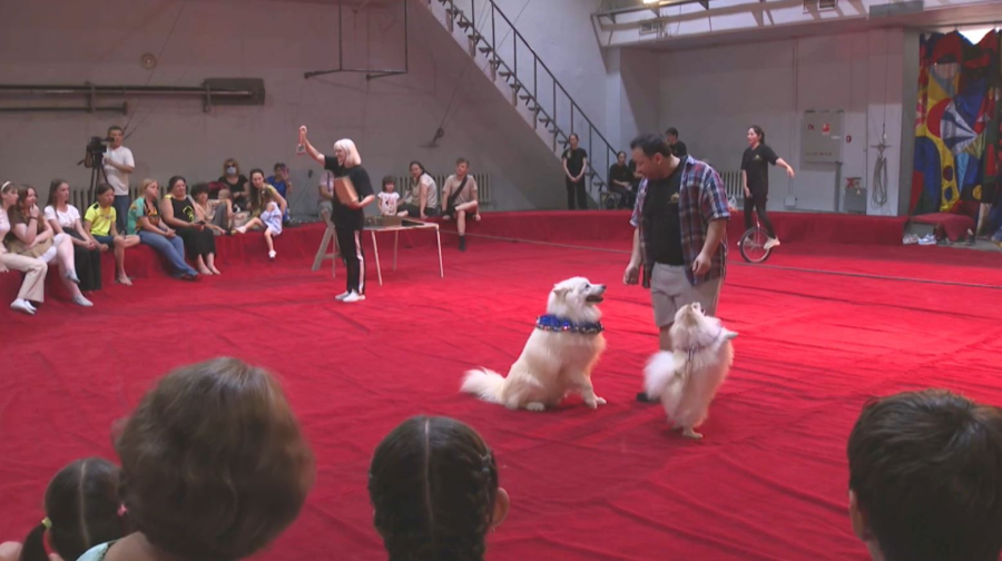 Маленькие алматинцы попробовали себя в роли артистов цирка