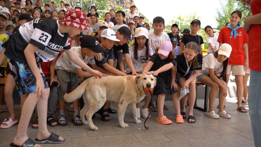 «Безопасное лето»: спасатели учат детей правилам поведения при ЧС