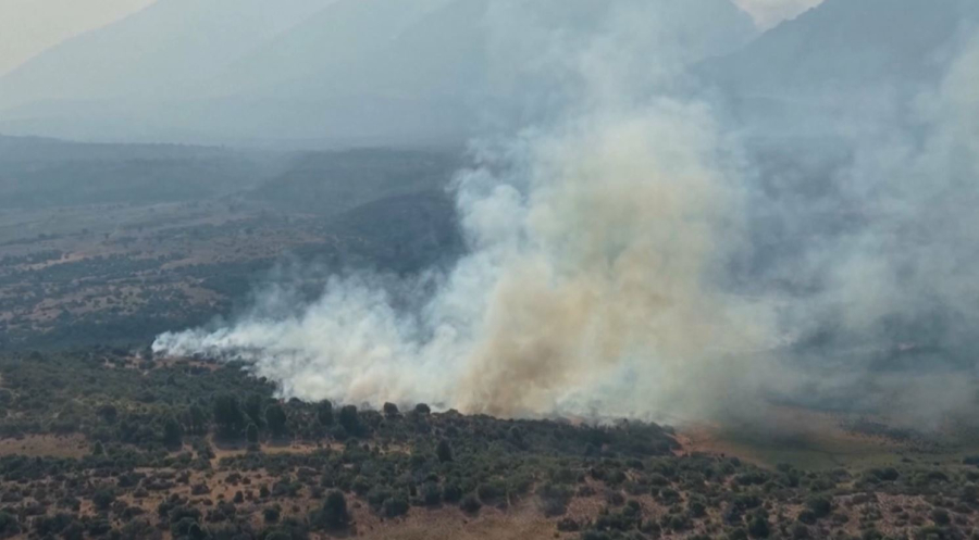 Аргентинада орман өрті өршіді