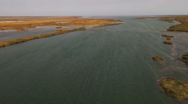 Экологический саммит Центральной Азии пройдёт в Астане