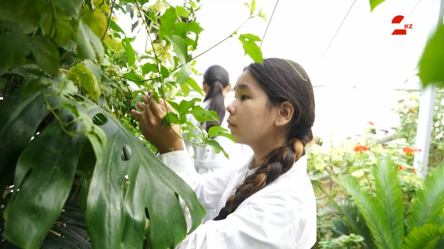 Шымкентте оқушыларды экологиялық мәдениетке үйретіп жатыр