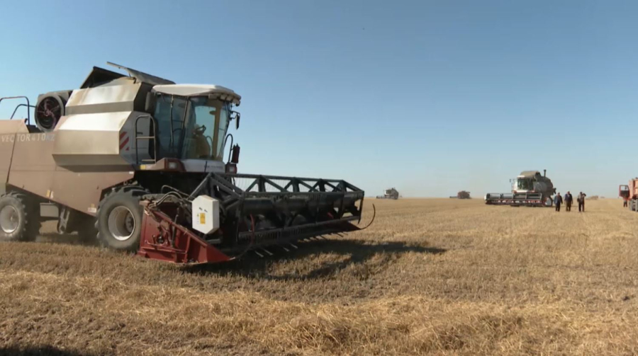 5 млн тонн зерна собрали акмолинские аграрии