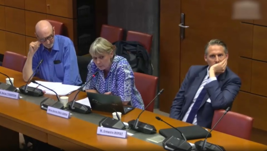 Во Франции парламентская комиссия изучает влияние TikTok на детей