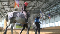 Верховая езда: более 300 детей занимаются иппотерапией в Актобе