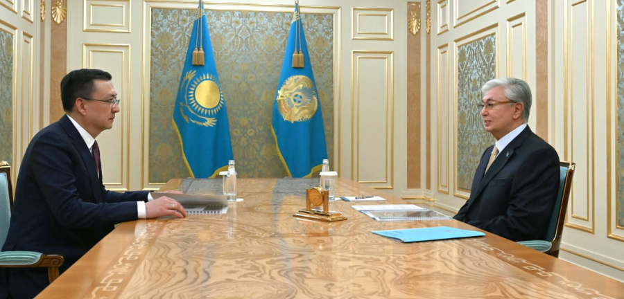 Президент Қазақстан Халық Кеңесі Төрағасының орынбасарын қабылдады
