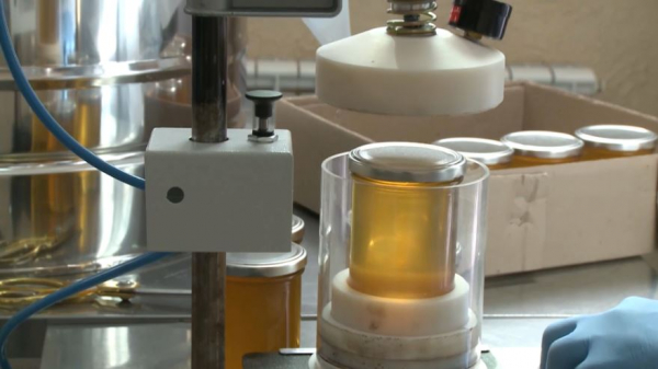 Мёд казахстанских пчеловодов покоряет зарубежные рынки