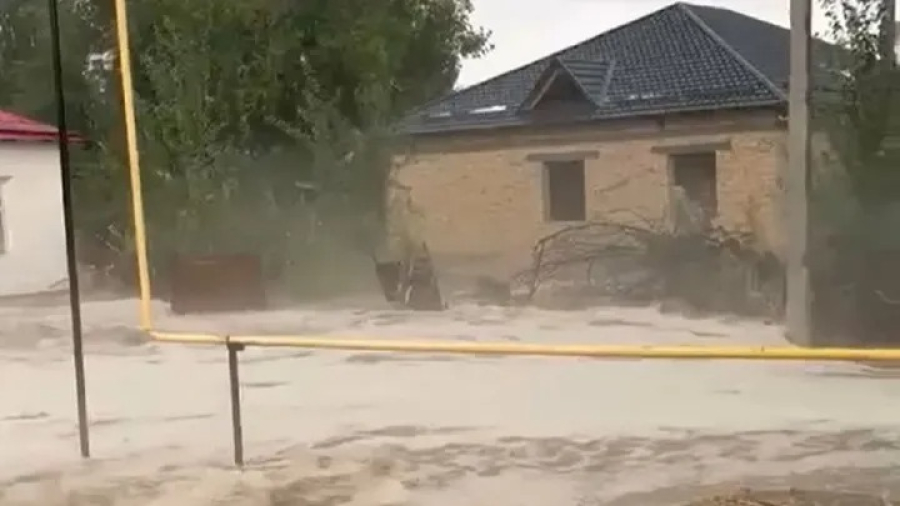 Селевые потоки накрыли несколько сел в Туркестанской области