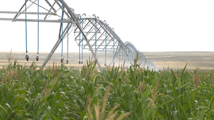 Елордада «RES 2026 EXPO» көрмесі өтеді