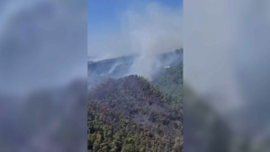 В Турции лесные пожары приблизились к курортным зонам