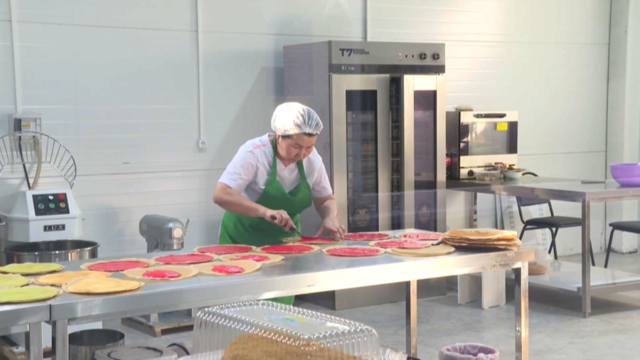 Қазақстанда салық режимдері оңтайландырылады