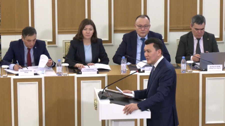 Жаңа Конституция: мәтін мазмұны мен тіл тазалығы талқыланды