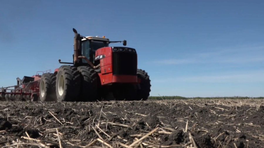 Североказахстанские аграрии завершили посевную кампанию