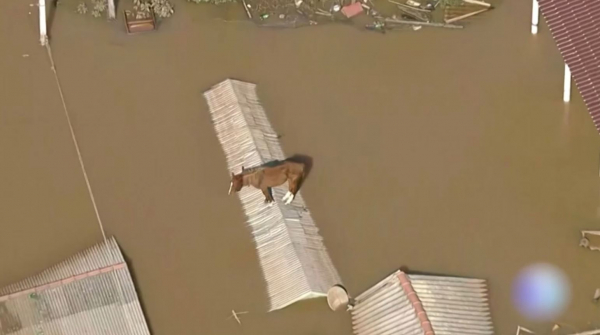 Наводнения в Бразилии: число погибших возросло до 107 человек