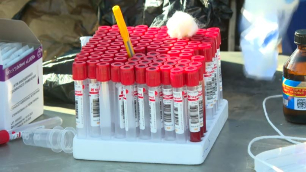 Вакцинировать домашний скот начали в Кызылординской области