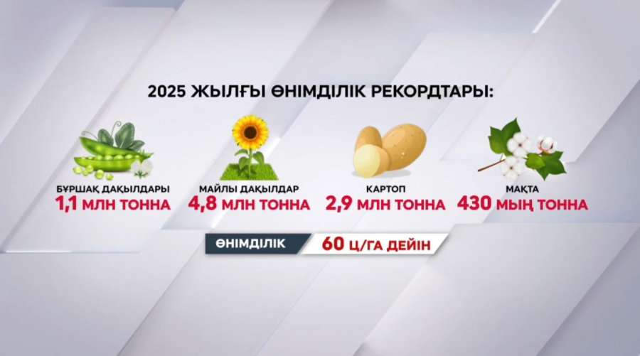 Биыл егін шаруашылығы рекорд жаңартты