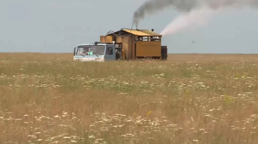 650 тысяч гектаров земли защитят от саранчи в Костанайской области