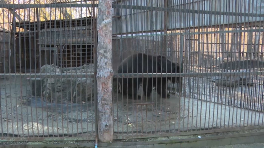 Қонжыққа «Хабар» деп ат қойды