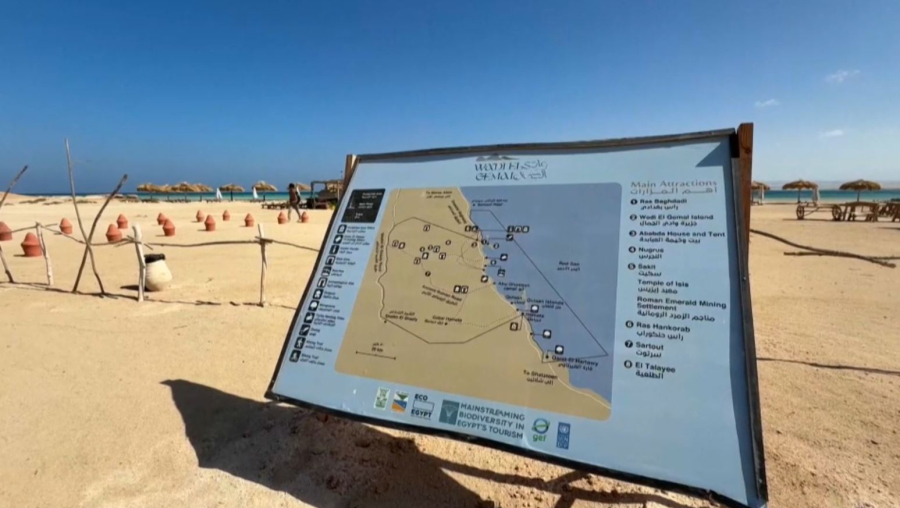 Египетте туризмнің дамуы экожүйеге қауіп төндіріп тұр