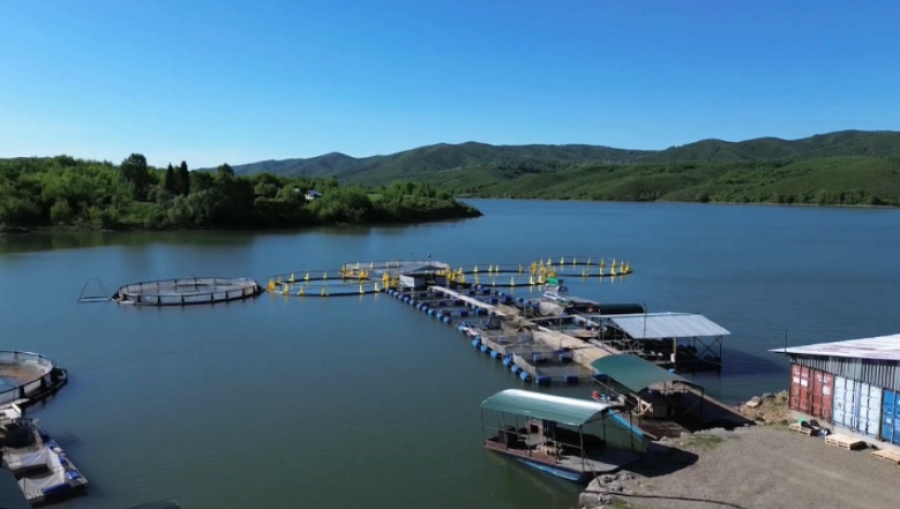 На востоке Казахстана развивают промышленное рыбоводство