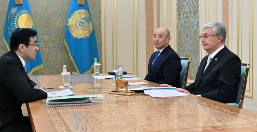 Токаев принял председателя правления АО «НУХ «Байтерек»