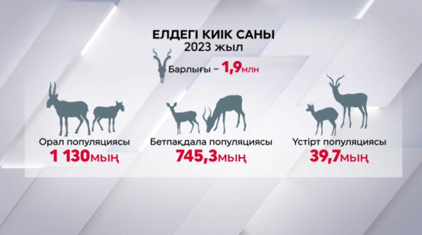 Киікті қолға үйрету