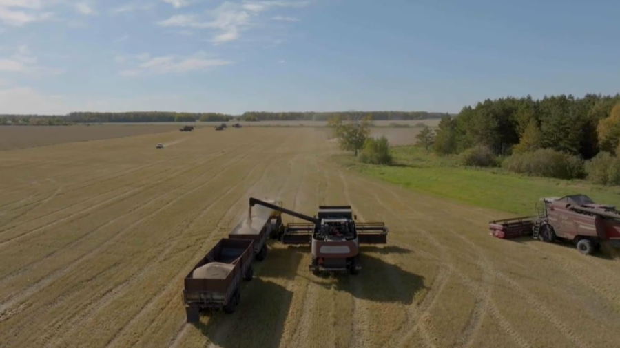 Токенизацию зерна намерены запустить в Казахстане