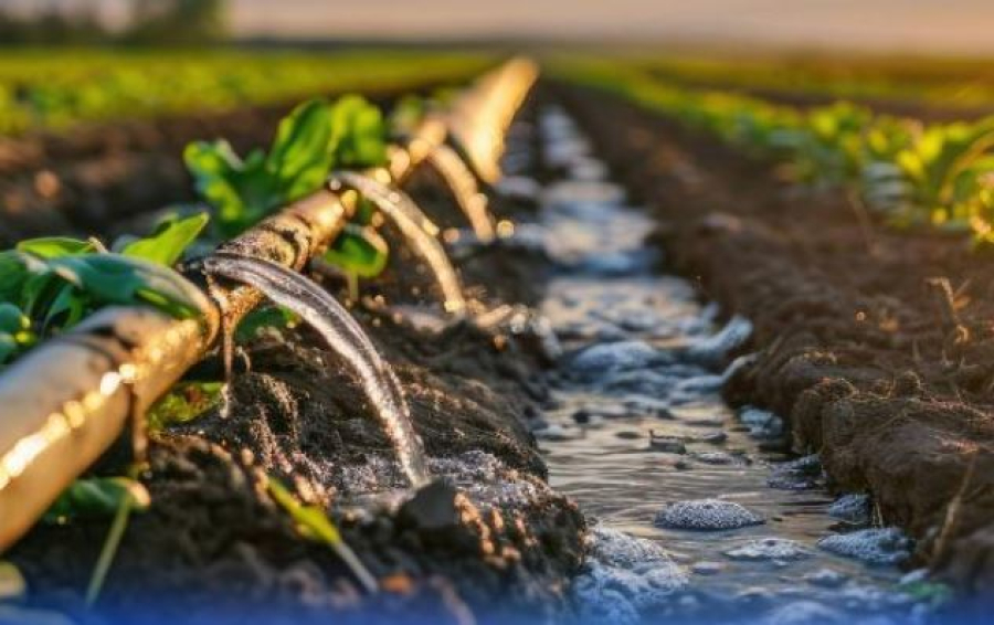 Оңтүстіктегі диқандарға су былтырғыдан 335 млн текше метрге артық берілді