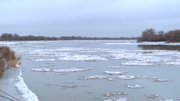 Сырдарияда сең қозғалды