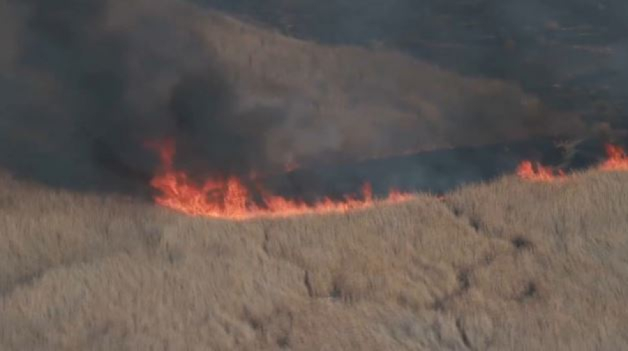 Пожар в резервате «Акжайык» локализовали