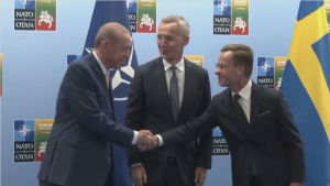 Турция поддержала вступление Швеции в НАТО