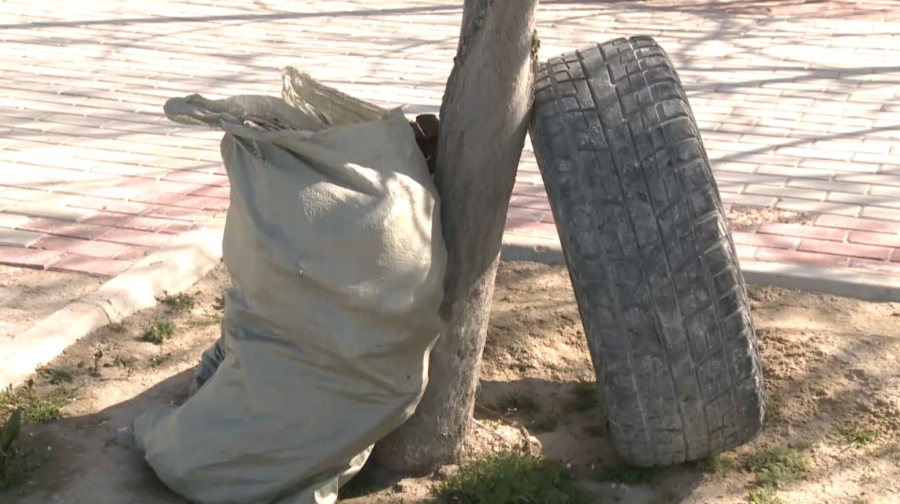 Ақтауда жағажай қоқыстан тазартылды