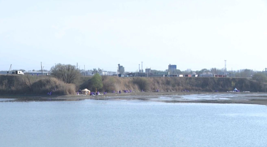 Биыл 50 су айдыны тазартылды