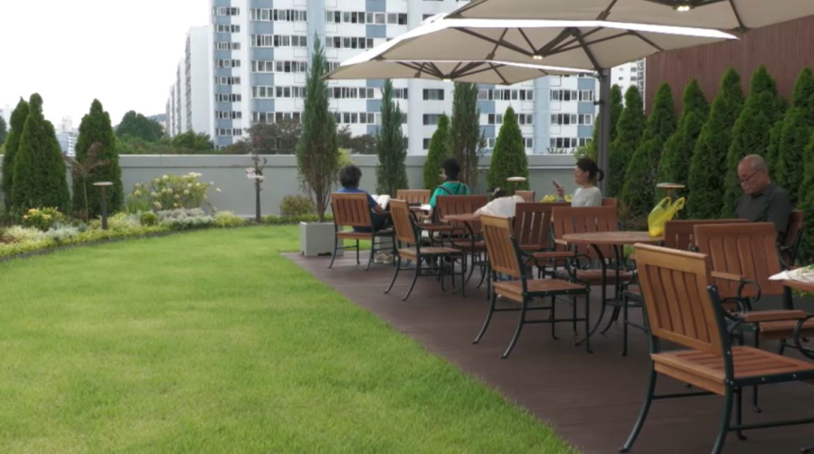 Сеул тұрғындары аптап ыстықтан шатыр бақтарын паналап жүр