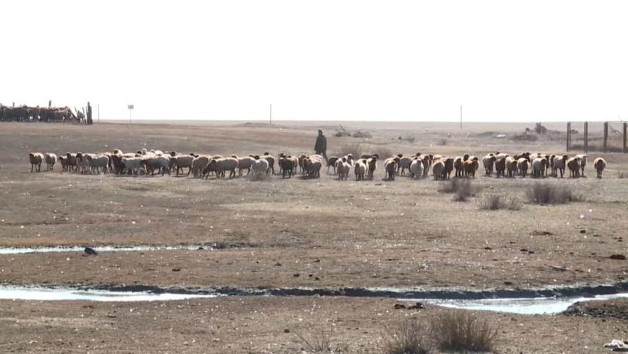 Өңірлерді дамытуға ден қойылады