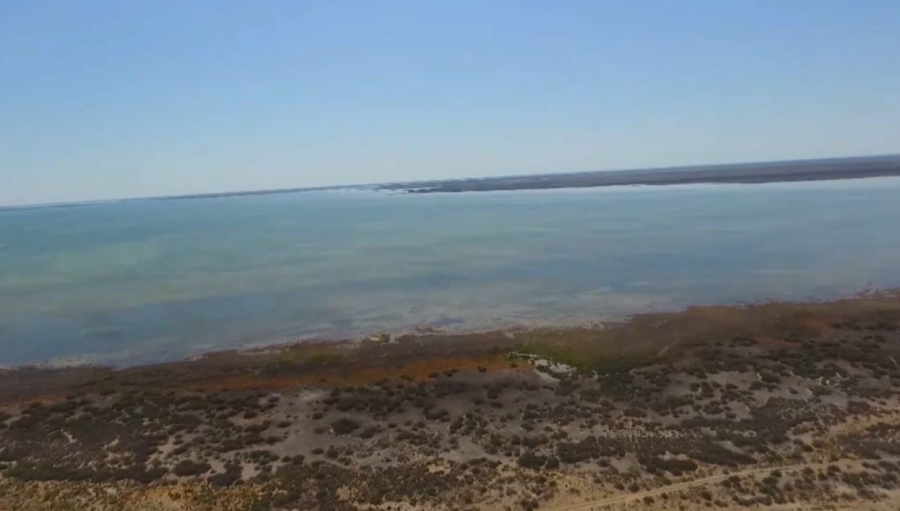 Тоқаев: Су ресурстарын қорғауда жаһандық ынтымақтастық қажет