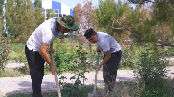 Түркістан облысында «Жеңіс» саябағы тазартылды